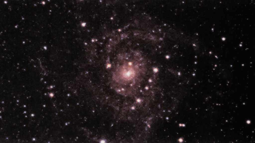 IC 342 galaxy