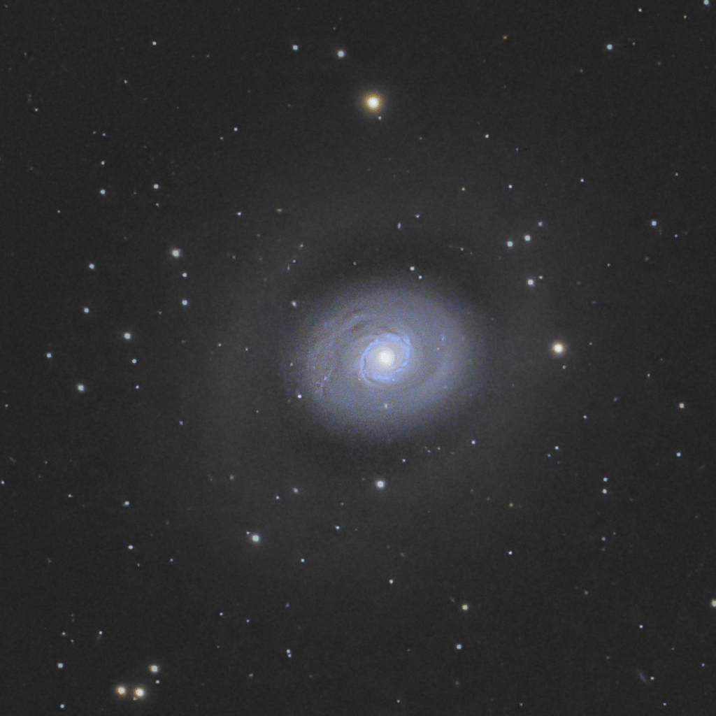 Croc's Eye Galaxy M94