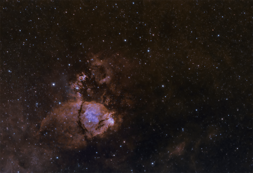 Fish Head Nebula IC1795 in False Colour