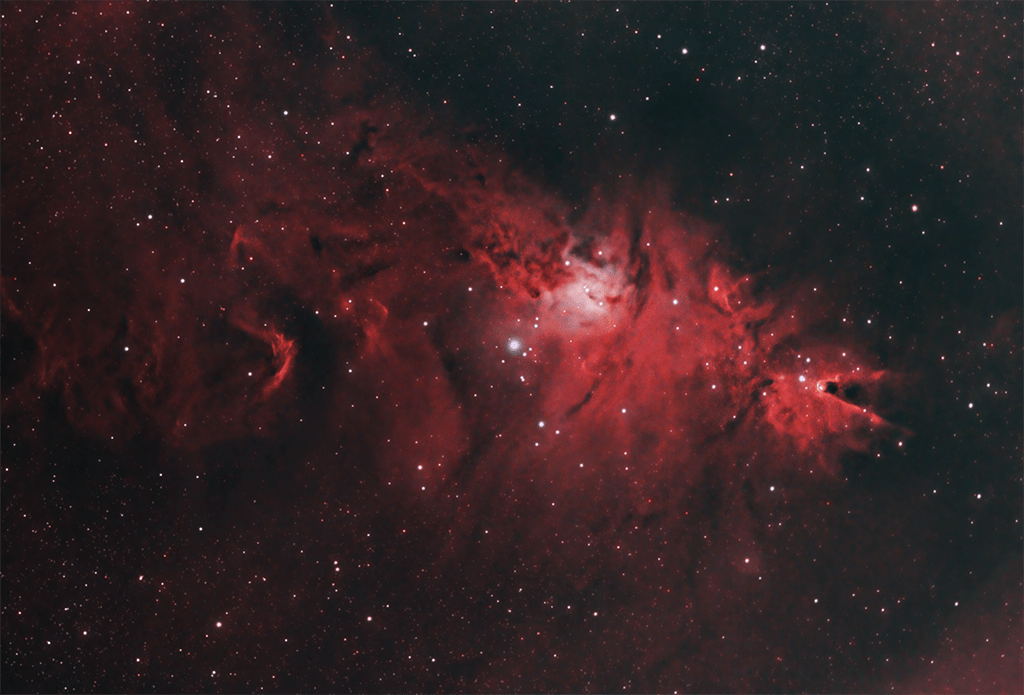 Christmas Tree Cluster NGC 2264