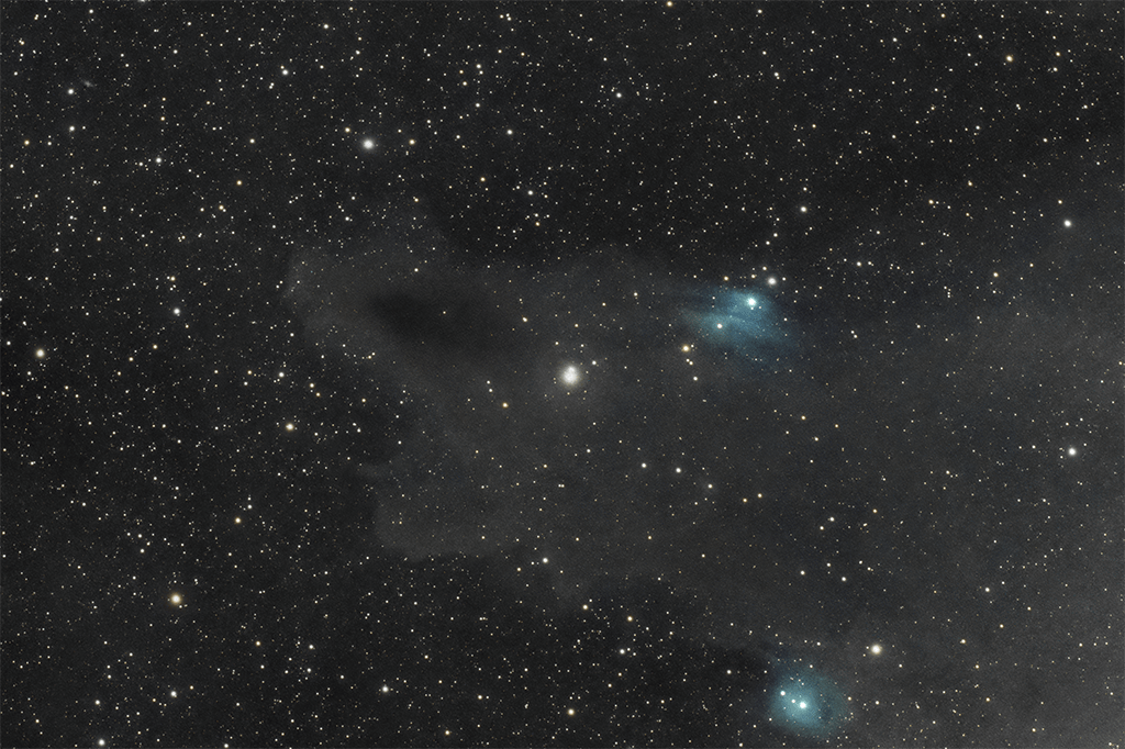 Dark Shark Nebula LDN 1235